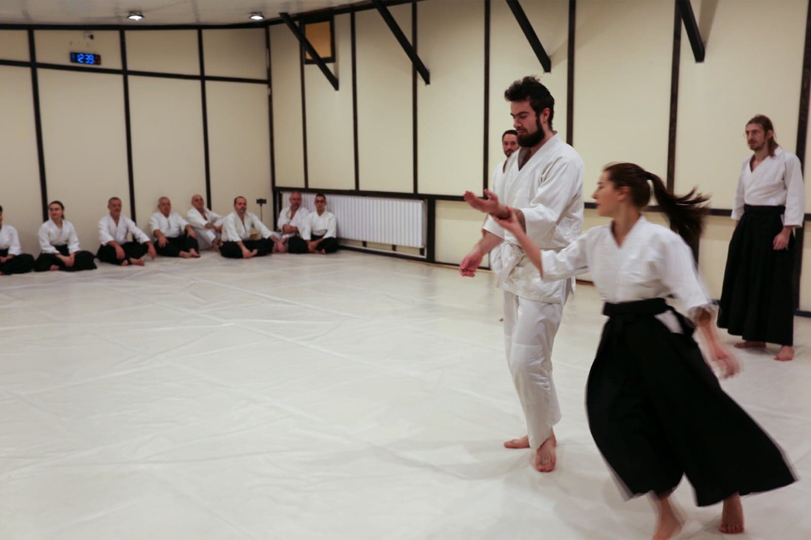Tehnică de Ki Aikido în pereche