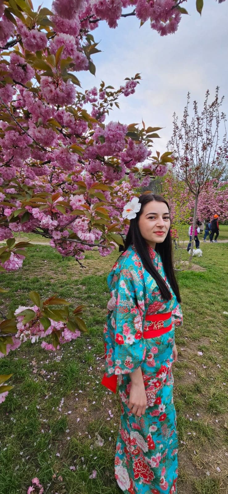 Kimono sub cireș înflorit, atmosfera Sakura
