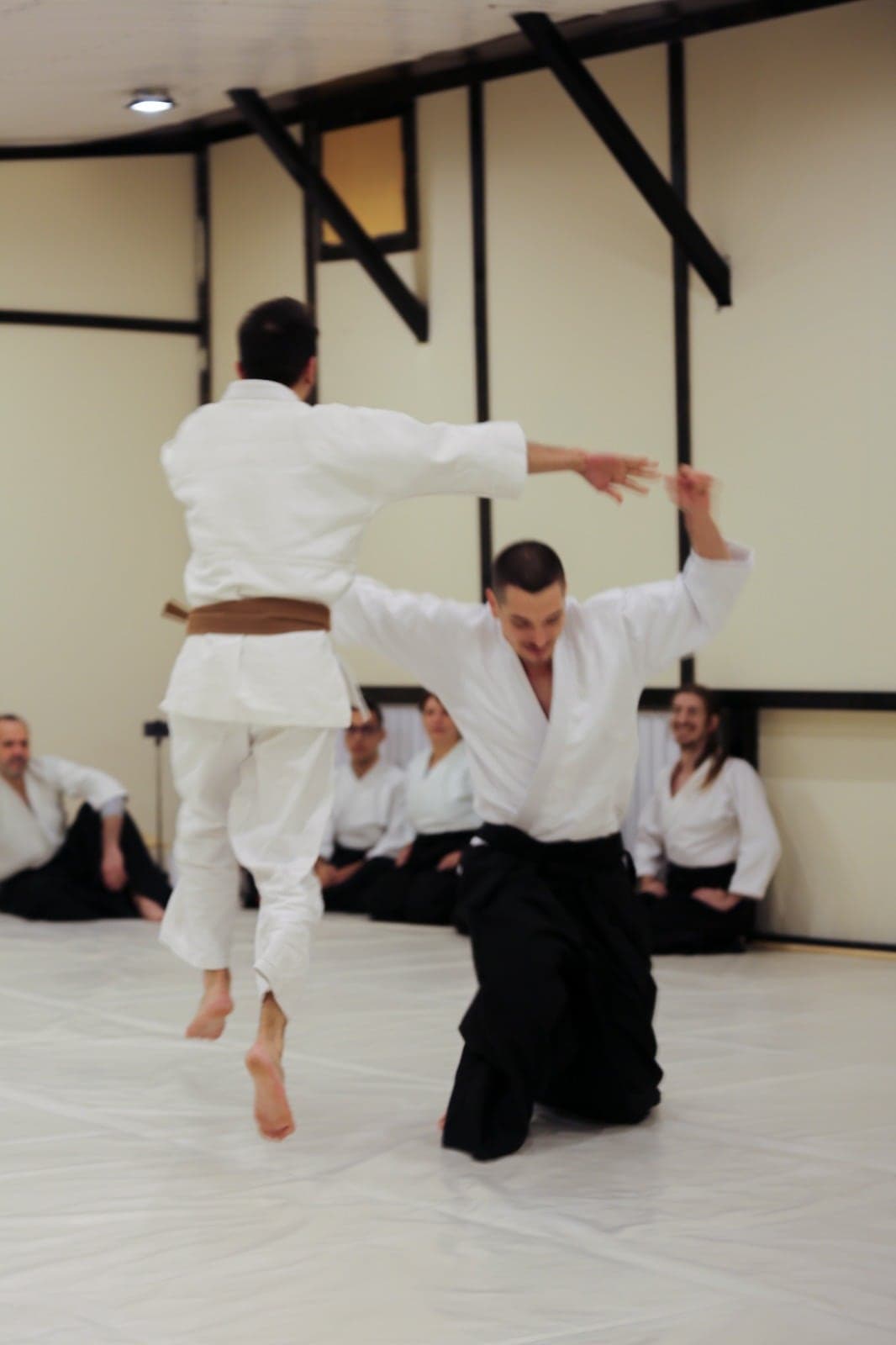 Rotație și tehnică fluidă de Ki Aikido