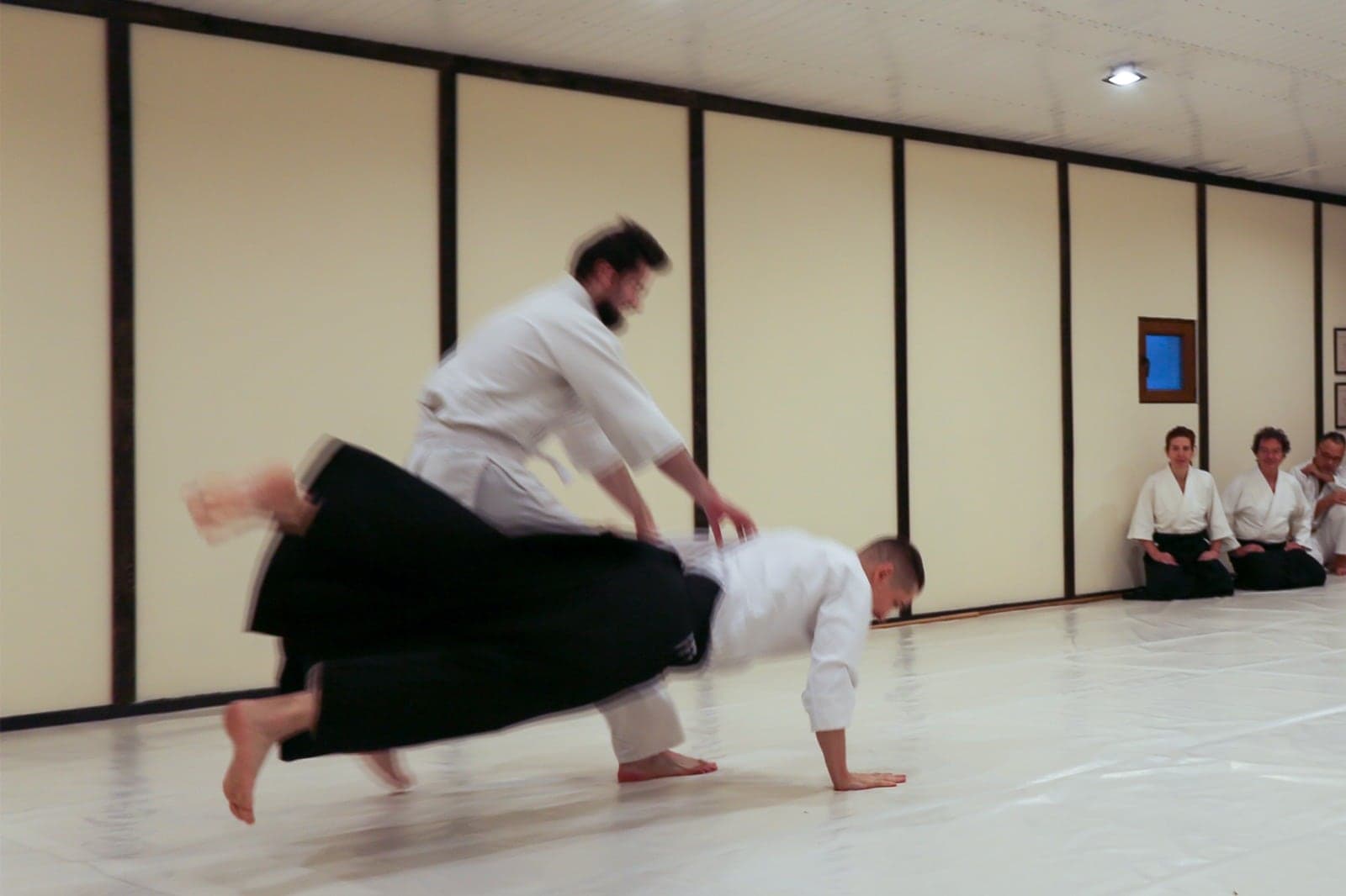 Aruncare joasă de Ki Aikido