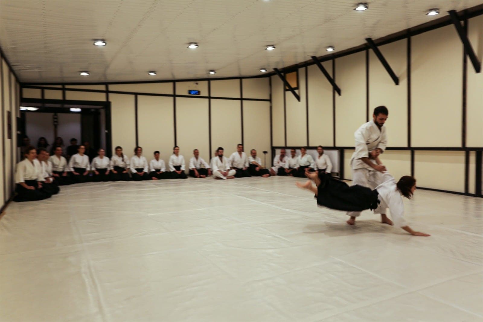 Aruncare de Ki Aikido, cadru larg din dojo